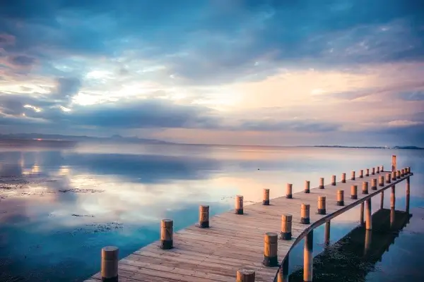 职业发展公司介绍